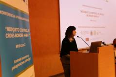 Mini IMG 4021